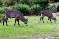 Visit to Orlando-13