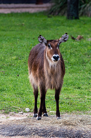 Visit to Orlando-9