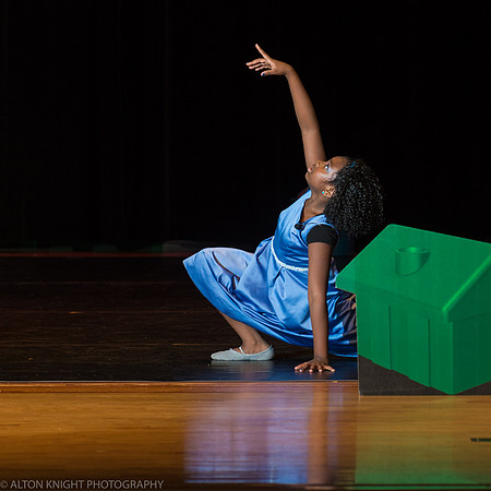 The Wiz