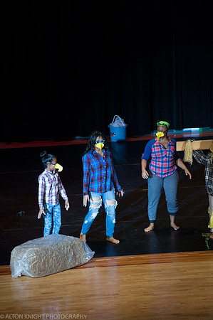 The Wiz