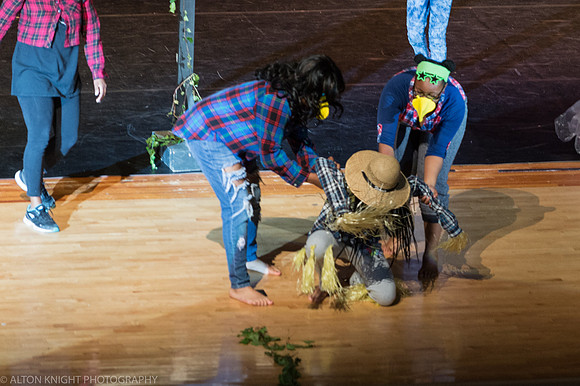 The Wiz