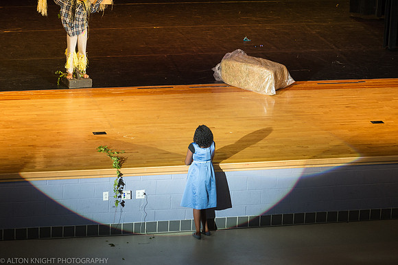 The Wiz