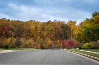Fall Foliage