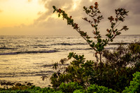 Kauai