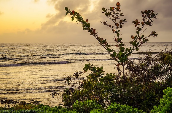 Kauai-1