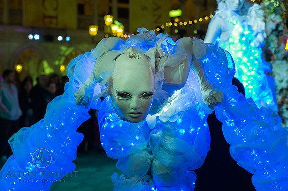 The Venetian-12.jpg