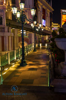 The Venetian-3.jpg