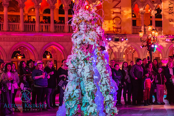 The Venetian-9.jpg