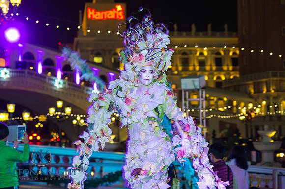 The Venetian-7.jpg
