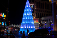 The Venetian-4.jpg