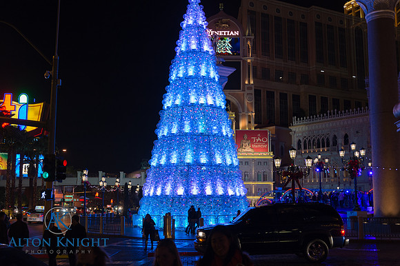 The Venetian-4.jpg