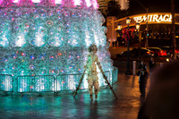 The Venetian-6.jpg
