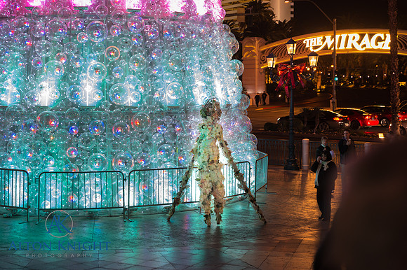 The Venetian-6.jpg