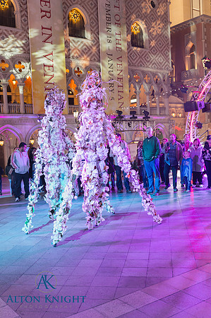 The Venetian-8.jpg