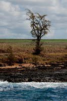 Napoli Coast-5.jpg