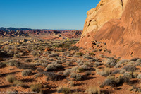 Highway Through Desert